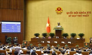Ứng dụng chuyển đổi số, đăng ký hộ tịch không phụ thuộc địa giới hành chính