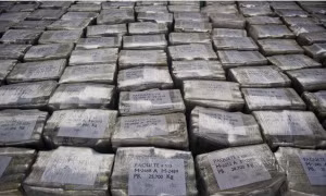 Europol triệt phá đường dây buôn ma túy lớn, thu 8 tấn cocaine