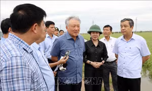 Phó Thủ tướng Thường trực Chính phủ Nguyễn Hòa Bình kiểm tra công tác khắc phục hậu quả bão số 3 tại Thái Bình