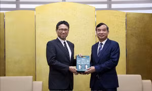 Thúc đẩy hợp tác giữa Đà Nẵng với các địa phương của Nhật Bản