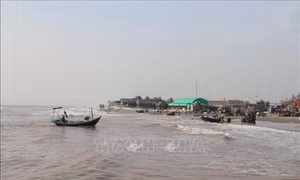 Ngăn chặn khai thác tận diệt, phục hồi nguồn lợi thủy sản tự nhiên