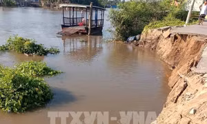 Cần Thơ công bố tình huống khẩn cấp sạt lở bờ sông tại xã Thạnh Xuân