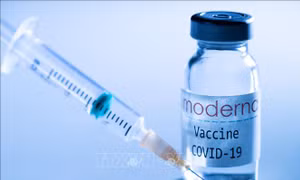 Bayer kiện các 'ông lớn' vaccine ngừa COVID-19 về bằng sáng chế