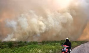 Cháy rừng dữ dội ở Indonesia, hàng nghìn người làm lễ cầu mưa