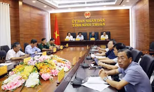 Ninh Thuận: Tết Nguyên đán Canh Tý 2020 đảm bảo vui tươi, an toàn và tiết kiệm