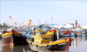 Kết luận của Phó Thủ tướng Trần Hồng Hà tại phiên họp 29 về IUU