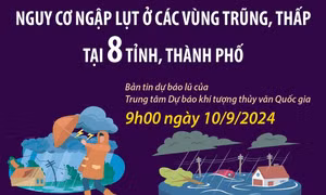Cảnh báo nguy cơ ngập lụt ở các vùng trũng, thấp tại 8 tỉnh, thành phố