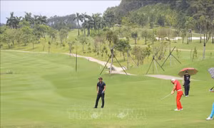 Tháng 7 sẽ diễn ra 3 giải Golf quốc gia nghiệp dư tại Cam Ranh