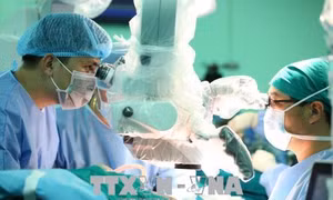 Thêm một cơ sở y tế thành công kỹ thuật ghép gan từ người cho sống