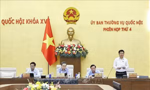 UBTV Quốc hội cho ý kiến về dự án Luật Dầu khí (sửa đổi)
