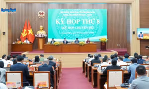 Gỡ 'Thẻ vàng' IUU: Quảng Ngãi hỗ trợ tàu cá giải bản không hoạt động khai thác thuỷ sản