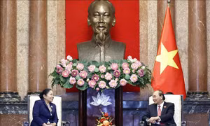Chủ tịch nước Nguyễn Xuân Phúc tiếp Trưởng Ban Tổ chức Trung ương Đảng NDCM Lào
