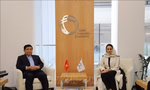 Thúc đẩy hợp tác đầu tư chất lượng cao giữa Việt Nam với Saudi Arabia và khu vực Trung Đông