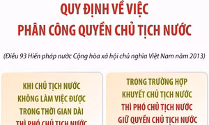 Quy định về việc phân công quyền Chủ tịch nước