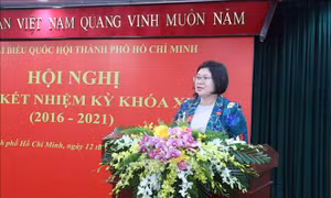 Đoàn ĐBQH TP Hồ Chí Minh có nhiều đóng góp tích cực vào hoạt động của Quốc hội