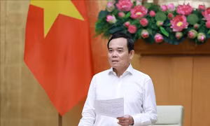 Phối hợp phòng, chống buôn lậu, gian lận thương mại và hàng giả trong bối cảnh thương mại điện tử phát triển