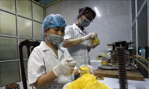 Tái cơ cấu hướng tới nền nông nghiệp hiện đại - Bài cuối: Mở rộng thị trường tiêu thụ
