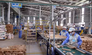 Thành lập Ban Quản lý các khu công nghiệp và khu kinh tế tỉnh Tuyên Quang 