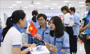 Sôi động thị trường lao động cuối năm