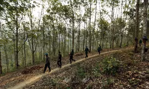 Điện Biên: Cảnh báo cháy rừng cấp độ IV do tình trạng nắng, hanh khô kéo dài