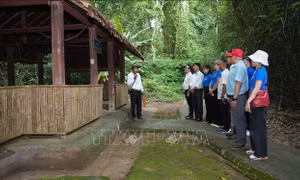 Thông tấn xã Việt Nam tổ chức về nguồn, hun đúc tinh thần yêu nước