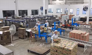 Doanh nghiệp sữa trước thách thức nguyên liệu đầu vào