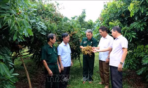  Tấm gương về ý chí và nghị lực của người thương binh già