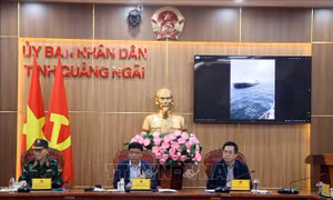 Gấp rút xây dựng phương án xử lý sự cố tàu Star Bueno mắc cạn tại Quảng Ngãi