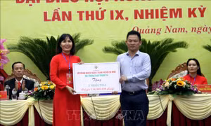 Bà Lê Thị Minh Tâm được bầu giữ chức Chủ tịch Hội Nông dân tỉnh Quảng Nam