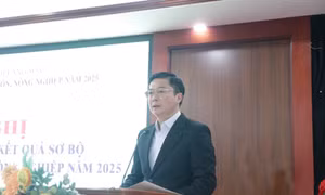 Công bố kết quả tổng điều tra nông thôn, nông nghiệp tỉnh Lạng Sơn