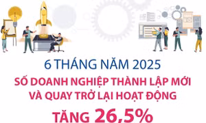 6 tháng năm 2025, số doanh nghiệp thành lập mới và quay trở lại hoạt động tăng 26,5%