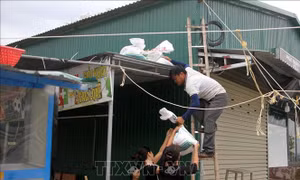Ứng phó bão số 5: Nghệ An chủ động từ sớm, quyết liệt từ cơ sở