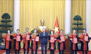 Tổng Bí thư, Chủ tịch nước Tô Lâm trao quyết định bổ nhiệm Thẩm phán TAND tối cao