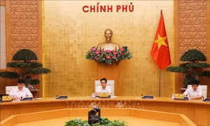 Xem xét cách ly chuyên gia nước ngoài và người thân khi đến Việt Nam