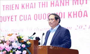 Thủ tướng chủ trì Hội nghị triển khai thi hành một số Luật, Nghị quyết của Quốc hội