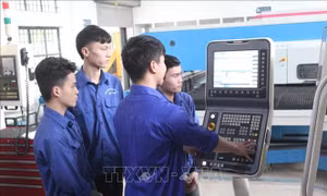 Tuyển sinh đại học 2022: Các trường chủ động điều chỉnh phù hợp với bối cảnh mới