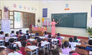 Đảm bảo đủ giáo viên đứng lớp, công khai các khoản thu, chi từ đầu năm học
