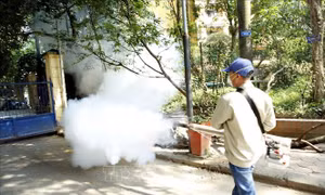 Mỗi người dân là tuyên truyền viên phòng, chống sốt xuất huyết