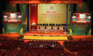  Đề xuất hỗ trợ đào tạo kỹ năng thương mại điện tử cho nông dân