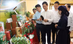 Trao giấy chứng nhận đầu tư các dự án khu vực phía Bắc tỉnh Thái Nguyên