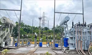 Khắc phục bão số 3: EVNNPC cấp điện trở lại cho gần 90% khách hàng trong ngày đầu tiên