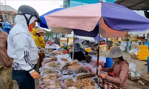 Phong phú hàng hải sản khô cung ứng cho Tết