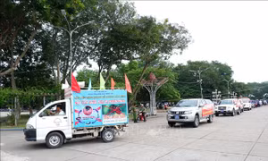 Xử lý các điểm nguy cơ, ngăn chặn muỗi truyền bệnh phát triển