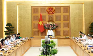 Rà soát toàn bộ hệ thống quản lý an toàn thực phẩm
