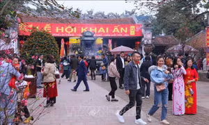 Tấp nập du khách đến đền Trần đầu năm mới