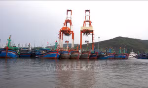 Bộ Giao thông Vận tải ra công điện khẩn ứng phó bão số 6