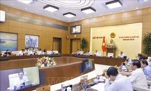 Phiên họp thứ 49 Ủy ban Thường vụ Quốc hội: Xẹm xét các báo cáo về giám sát chuyên đề, chất vấn