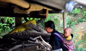 Triển khai đồng bộ các giải pháp, đẩy lùi vấn nạn tảo hôn
