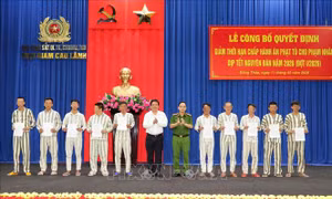 Giảm thời hạn chấp hành án phạt tù cho nhiều phạm nhân dịp Tết Nguyên đán