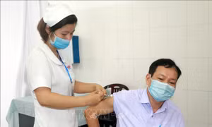 Tiêm bao phủ vaccine, kiểm soát ổ dịch thành phố Nam Định